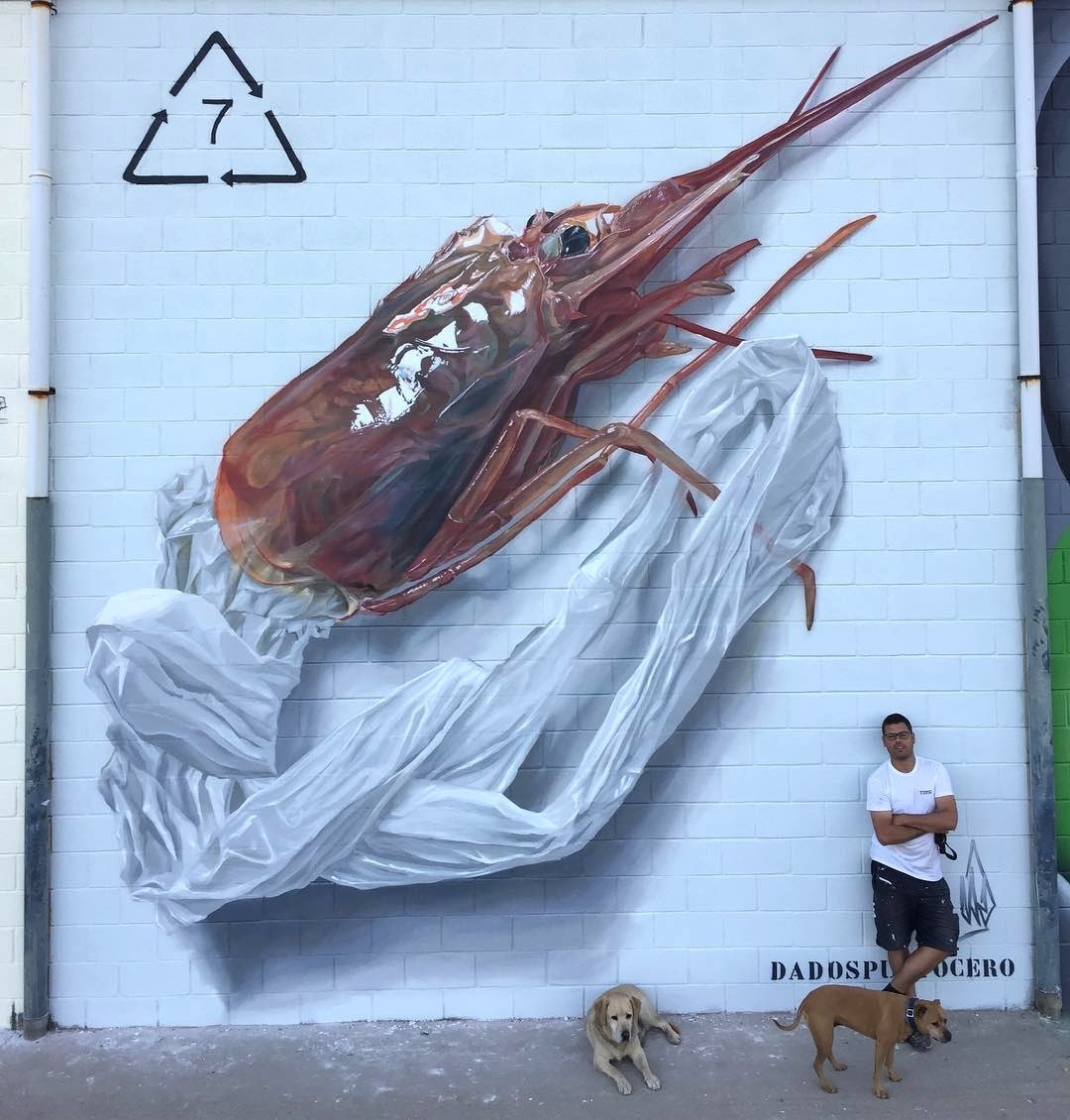 Dadospuntocero @La Bañeza, Spain