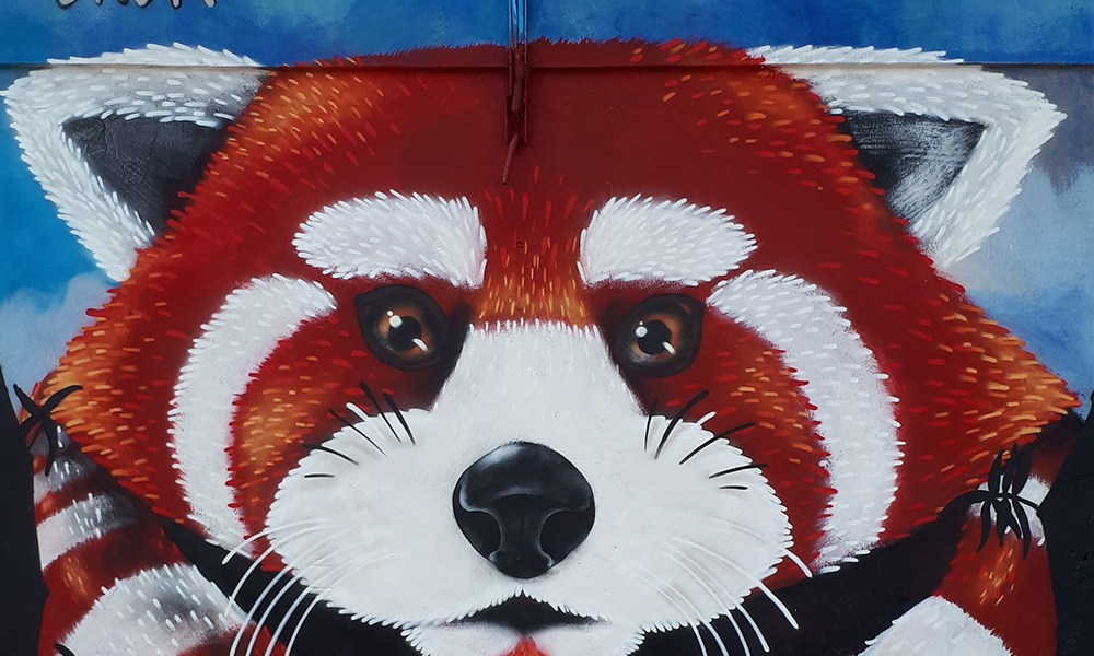 Enea @ Cagliari, Italy