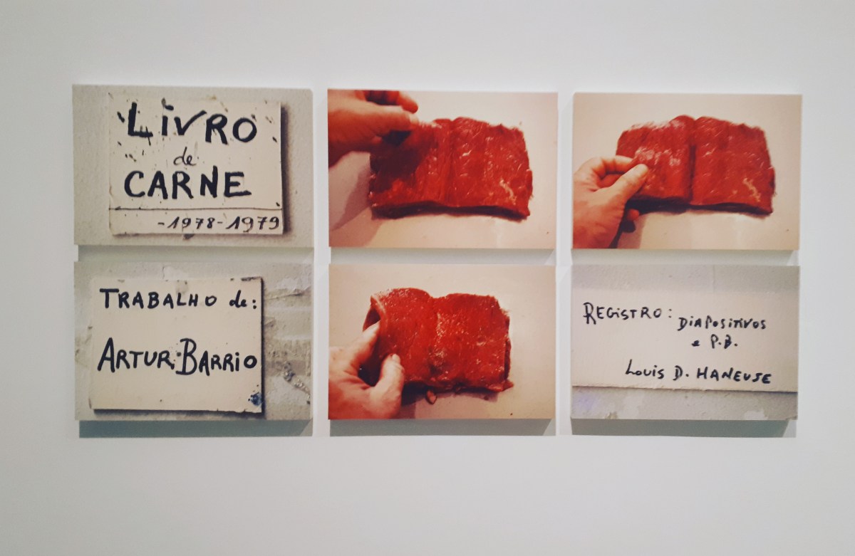 Museo Reina Sofia - Mostra temporanea - Artur Barrio