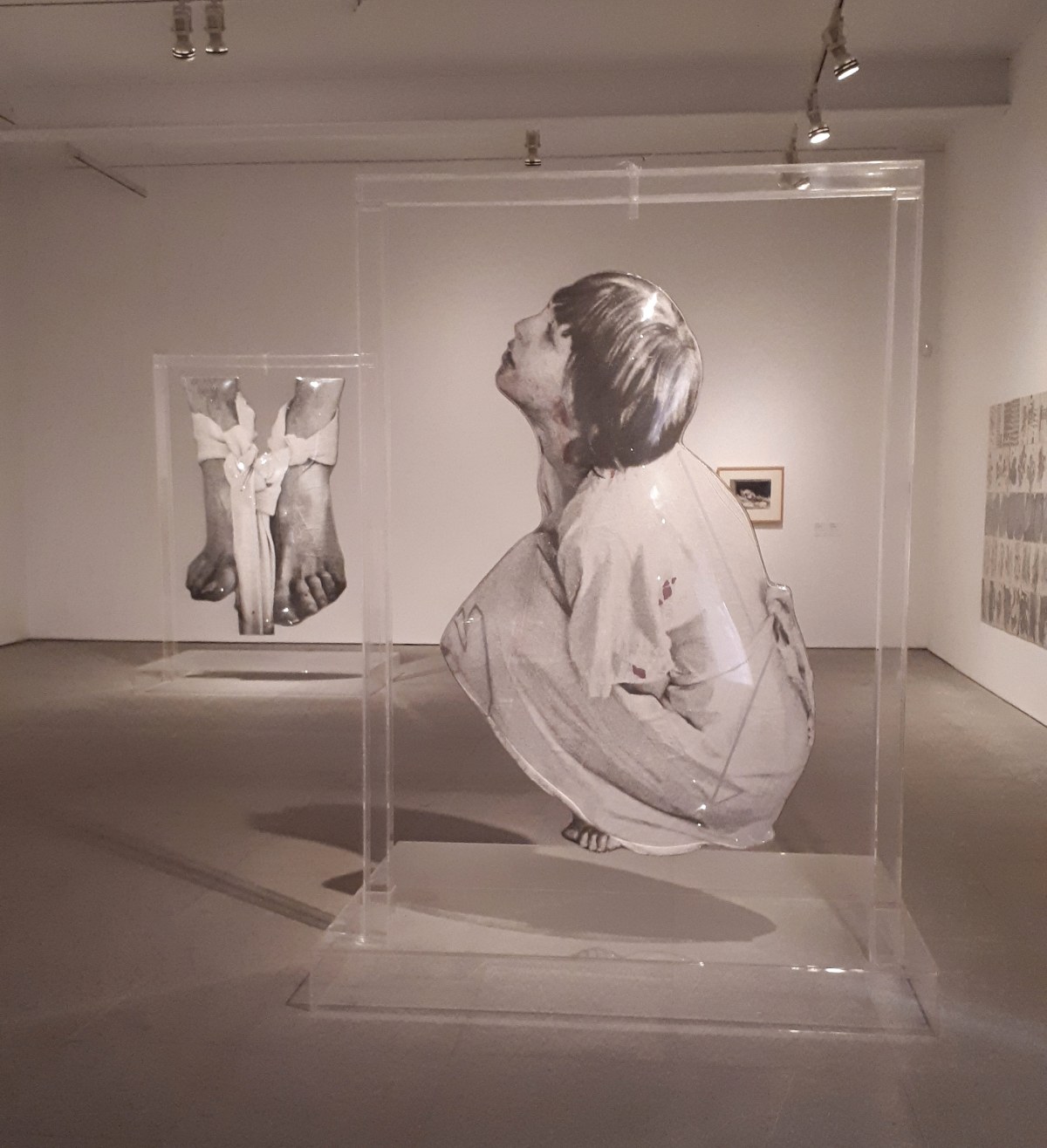 Collezione permanente - Museo Reina Sofia - Collezione permanente - Dario Villalba