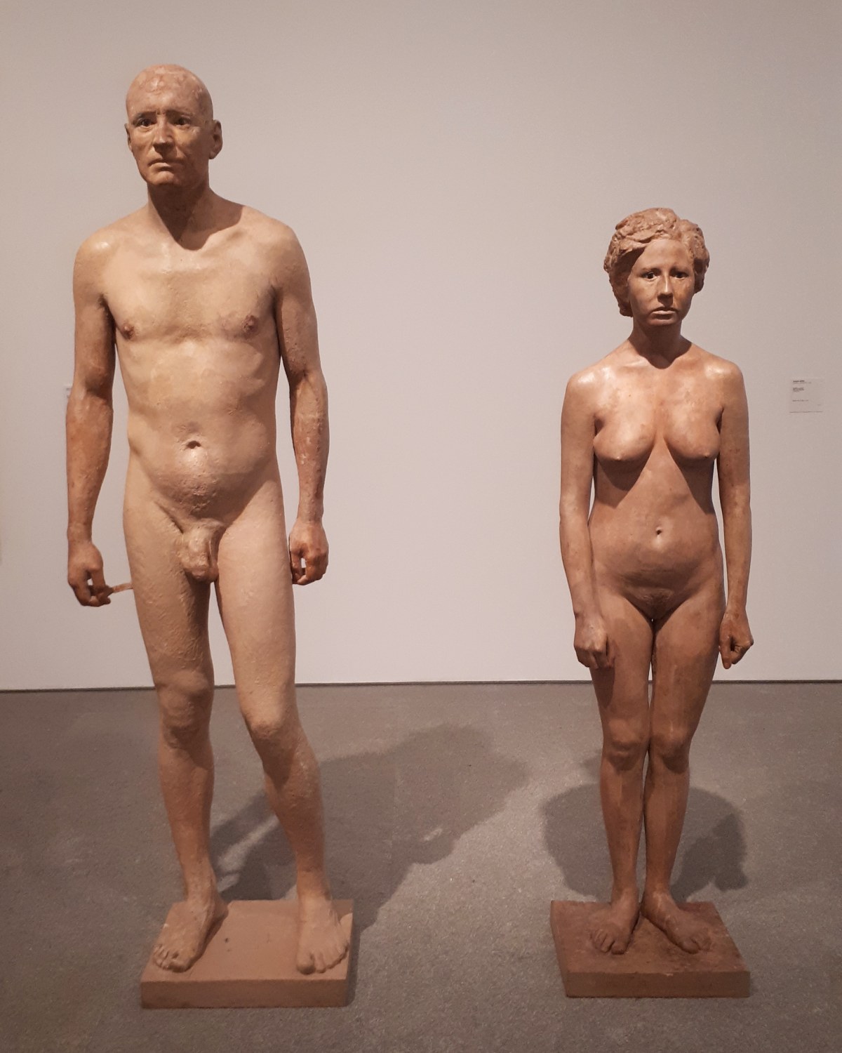 Museo Reina Sofia - Collezione permanente - Antonio Lopez