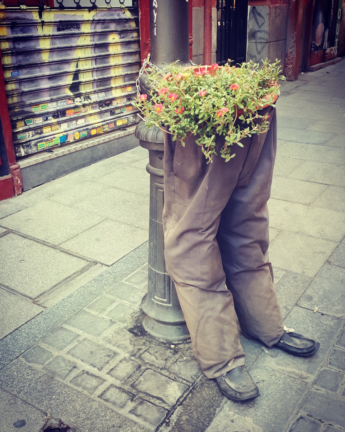 Porta vaso coi pantaloni