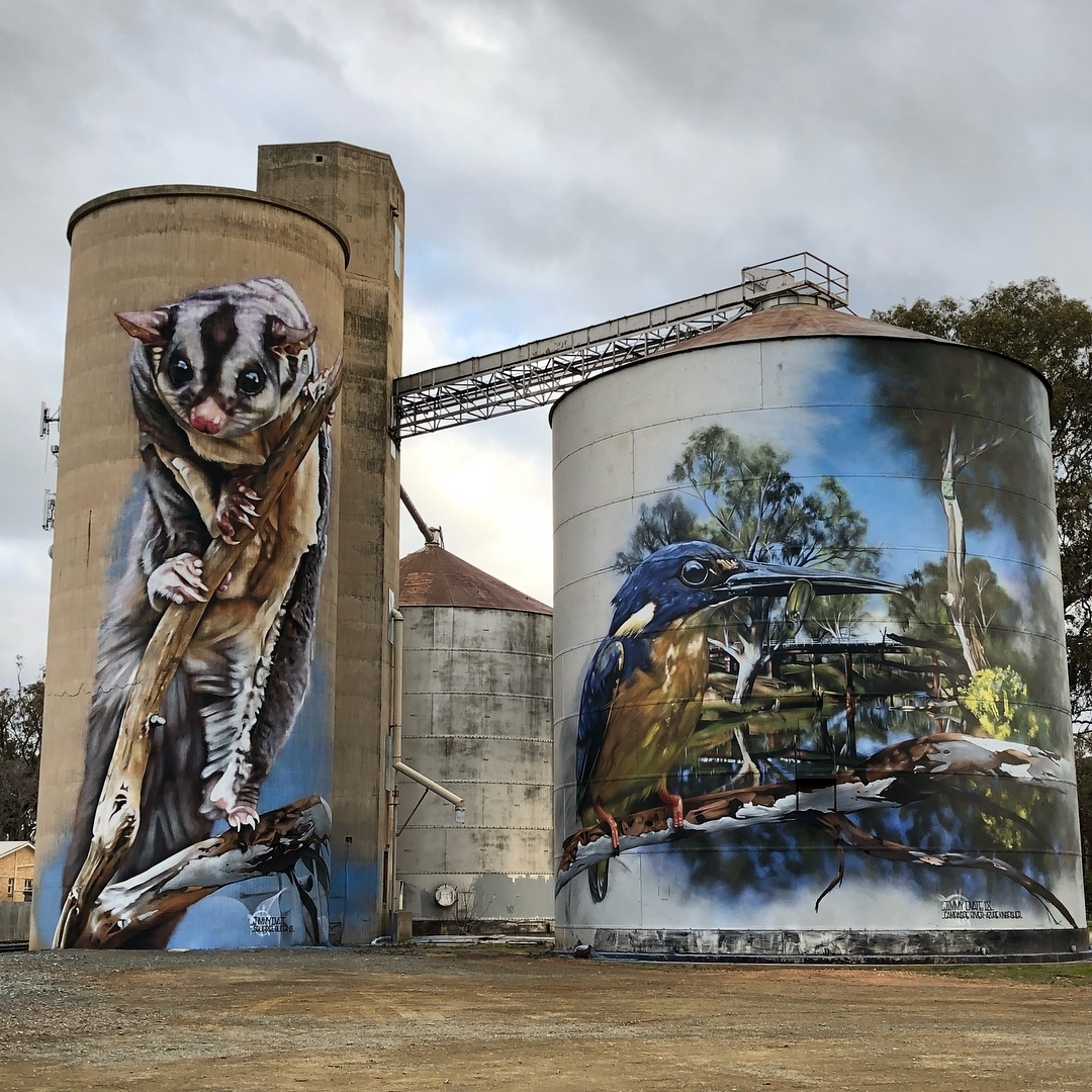 Jimmy DVate @ Rochester, Australia