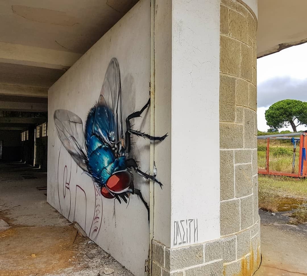 Odeith