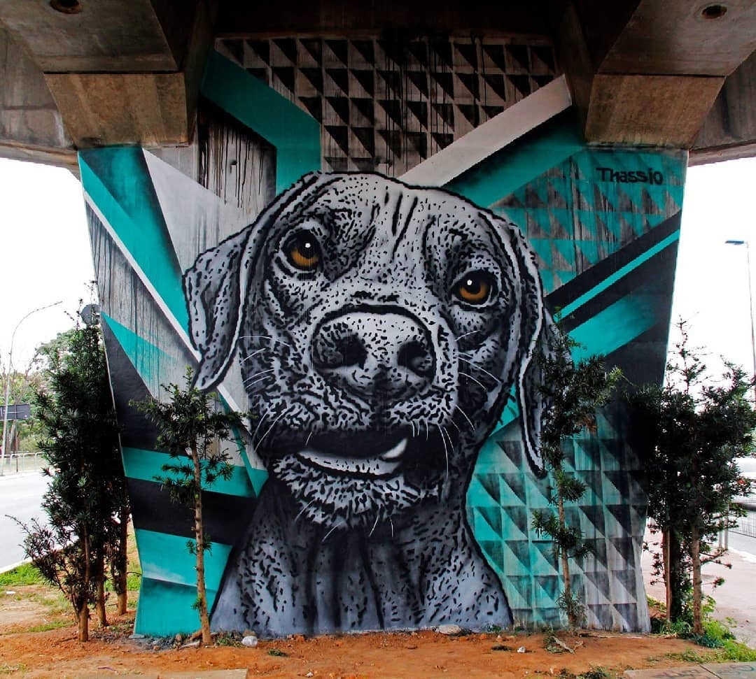 Thassio Bertani @Sao Paulo, Brazil