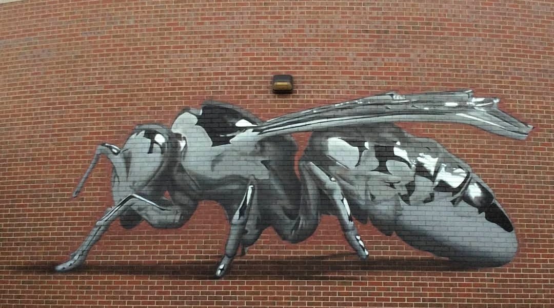 Bikismo @Denver, Colorado, USA