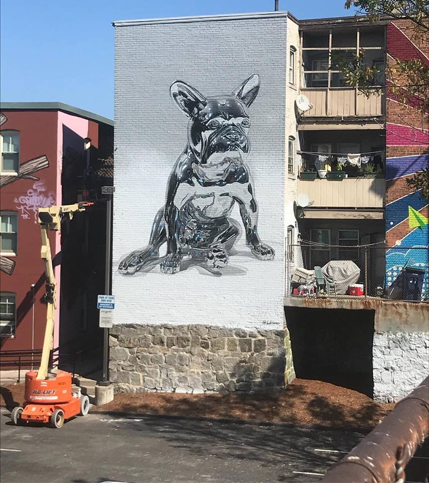 Bikismo @Salem, MA, USA