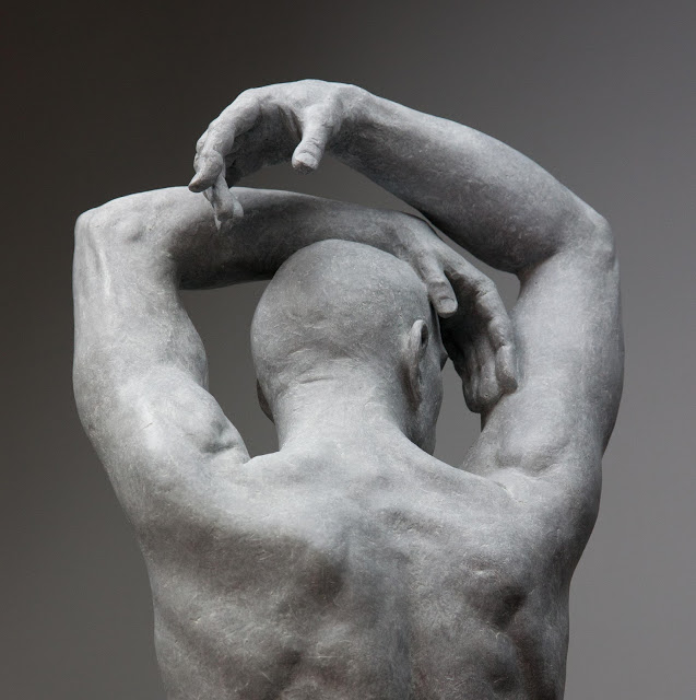 Coderch & Malavia - THE GREAT SWAN, 2018