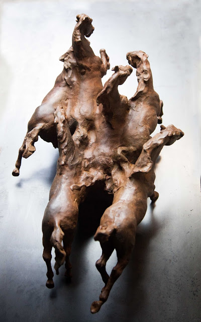 Coderch & Malavia - Wild Spirit, 2017