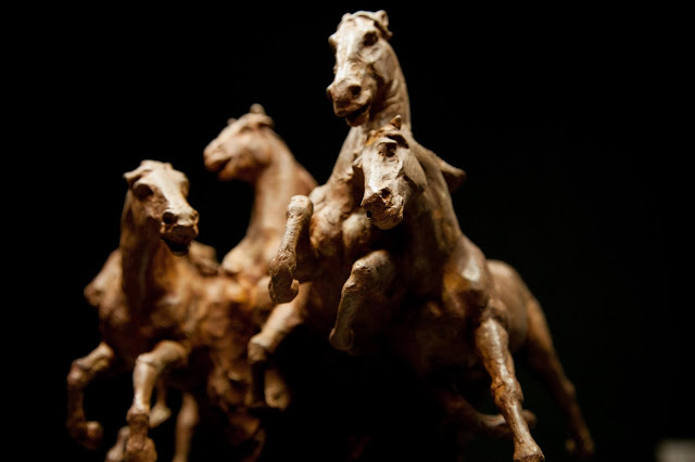 Coderch & Malavia - Wild Spirit, 2017