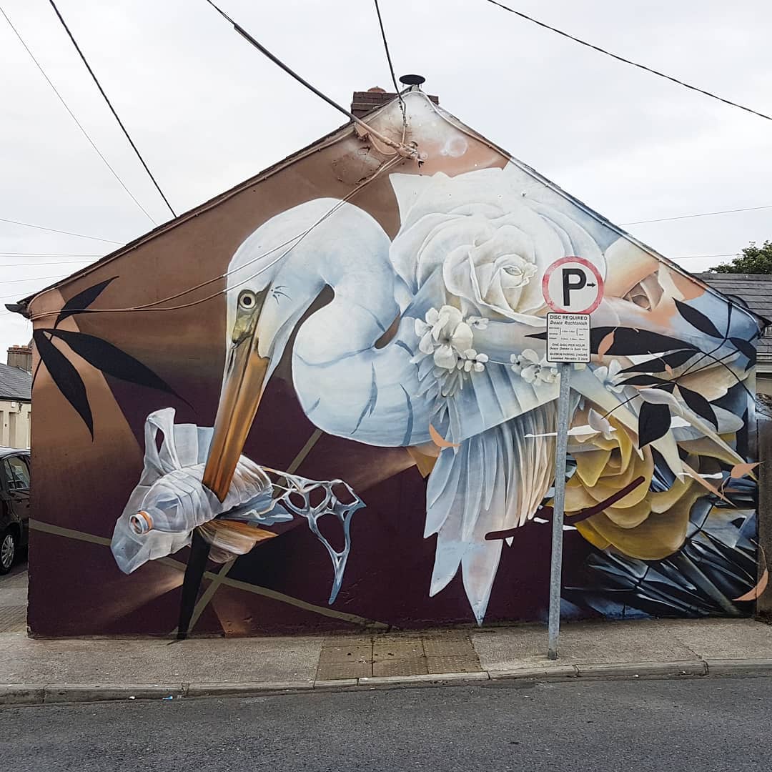 Curtis Hylton @Waterford, Ireland
