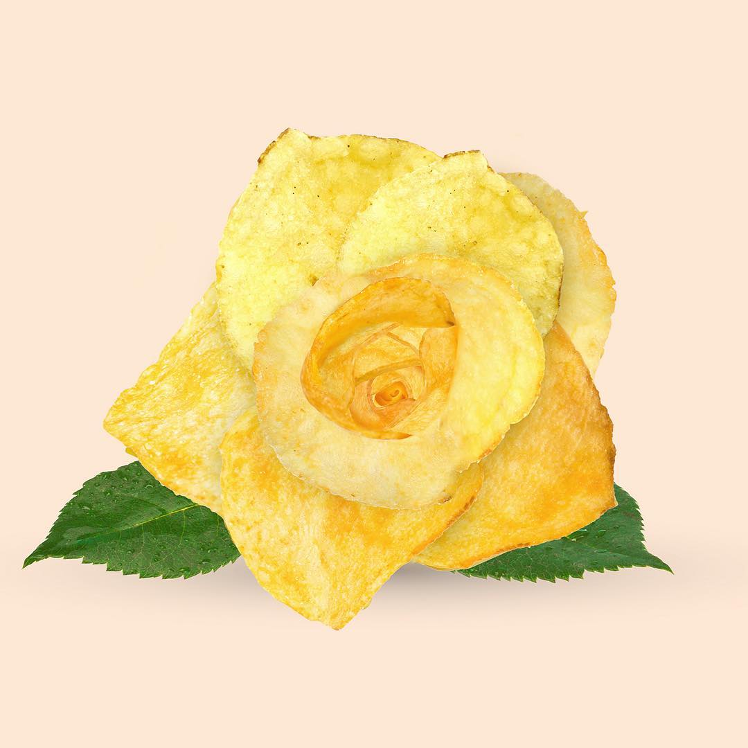 Les Créatonautes - The fried yellow rose