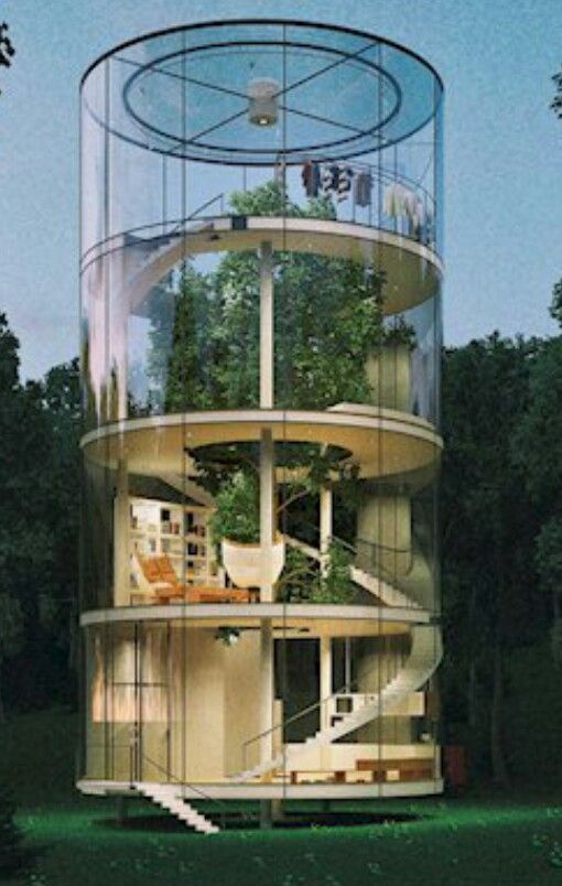 Tree in House by Aibek Almassov