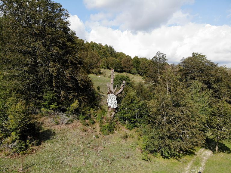 Marcantonio Raimondi Malerba - Arteparco