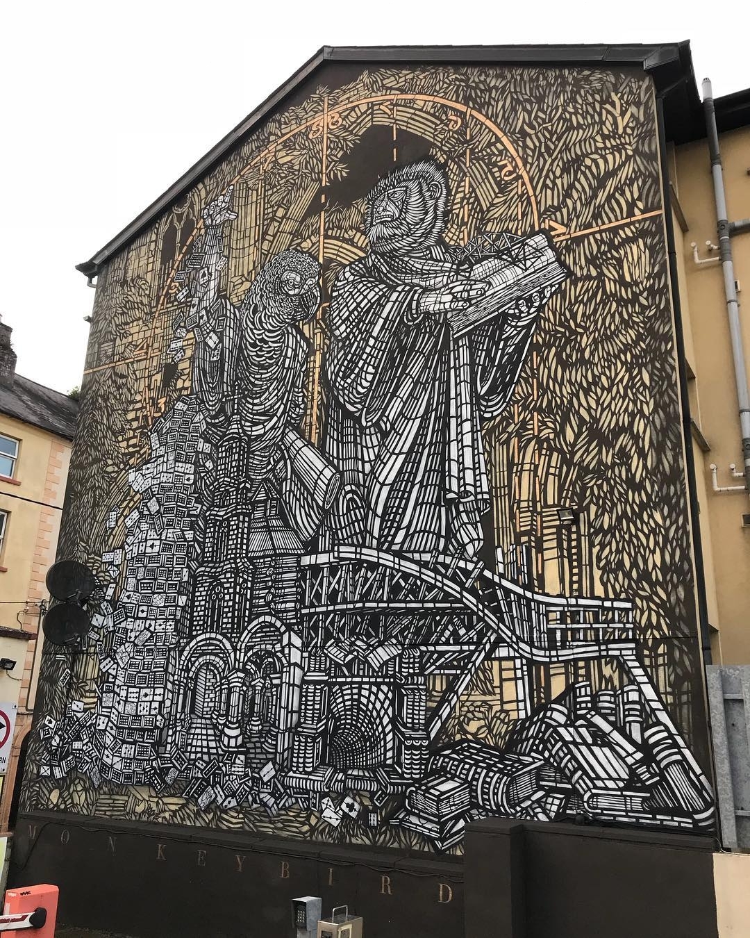 MonkeyBird @Waterford, Ireland