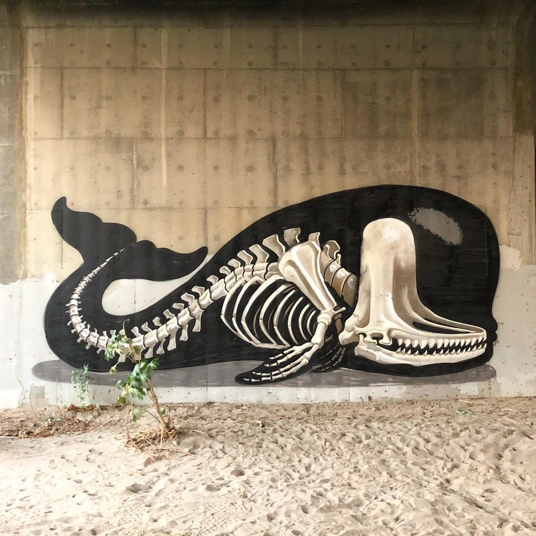 Nychos @California, USA
