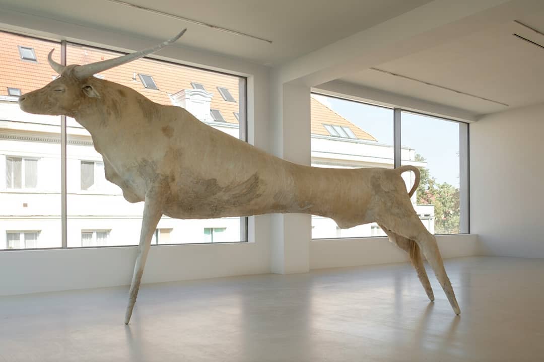 "Ochse" by Paweł Althamer