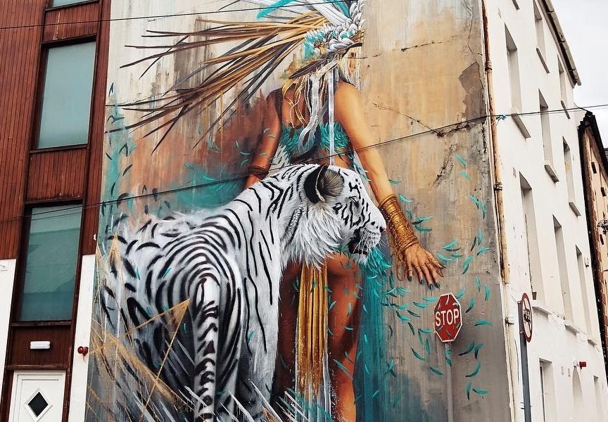 Sonny Sundancer @Waterford, Ireland