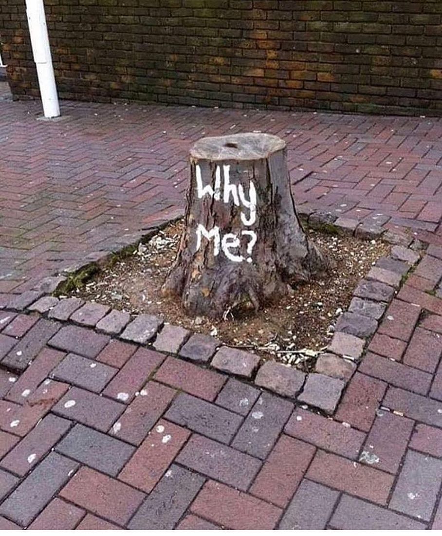 Why me? (Author unknown)