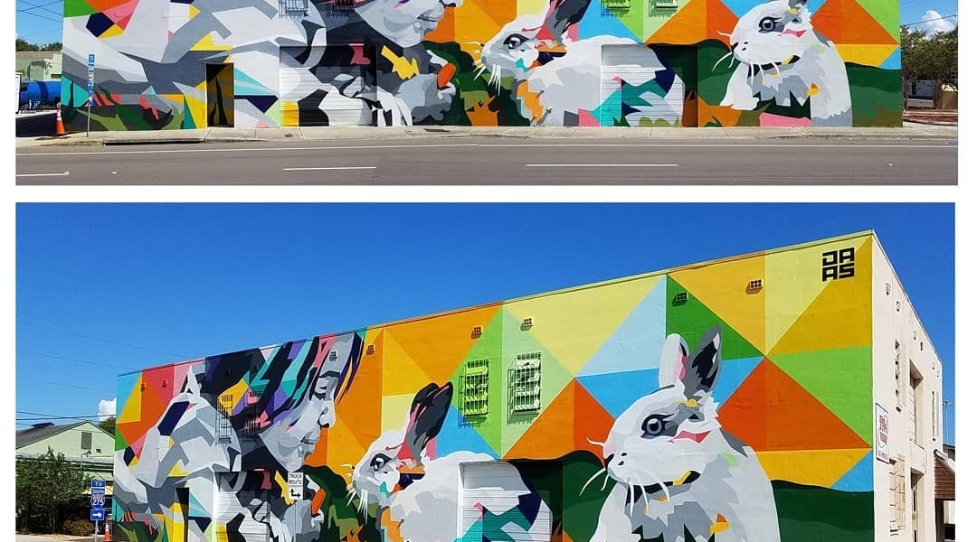 Daas @Saint Petersburg, Florida, USA