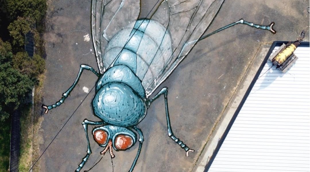 Kitt Bennett @Queenstown, Tasmania, Australia