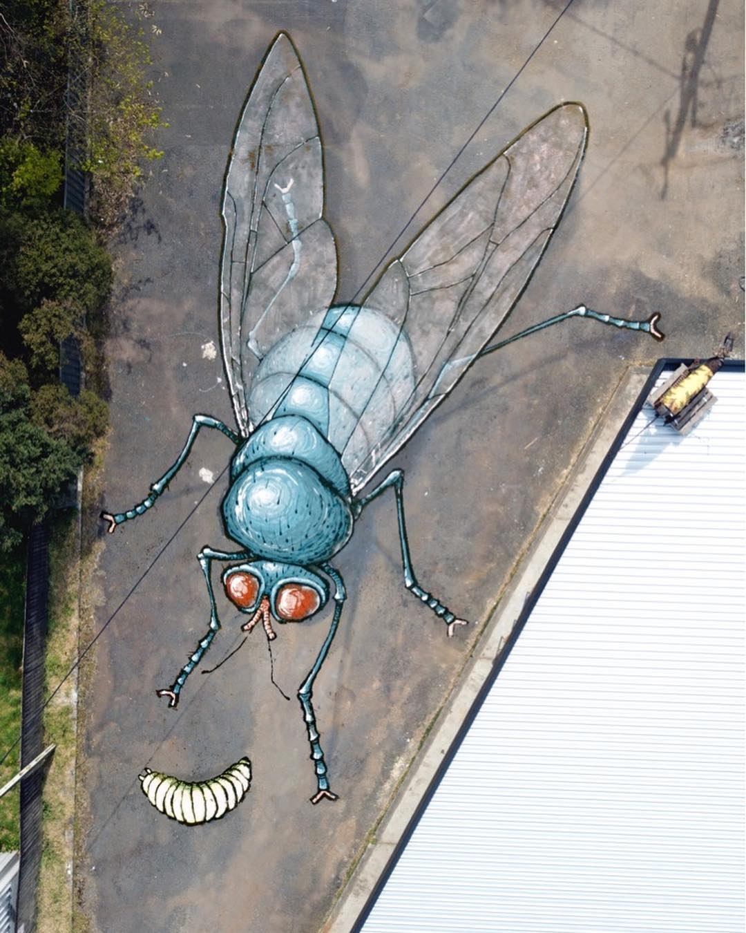 Kitt Bennett @Queenstown, Tasmania, Australia