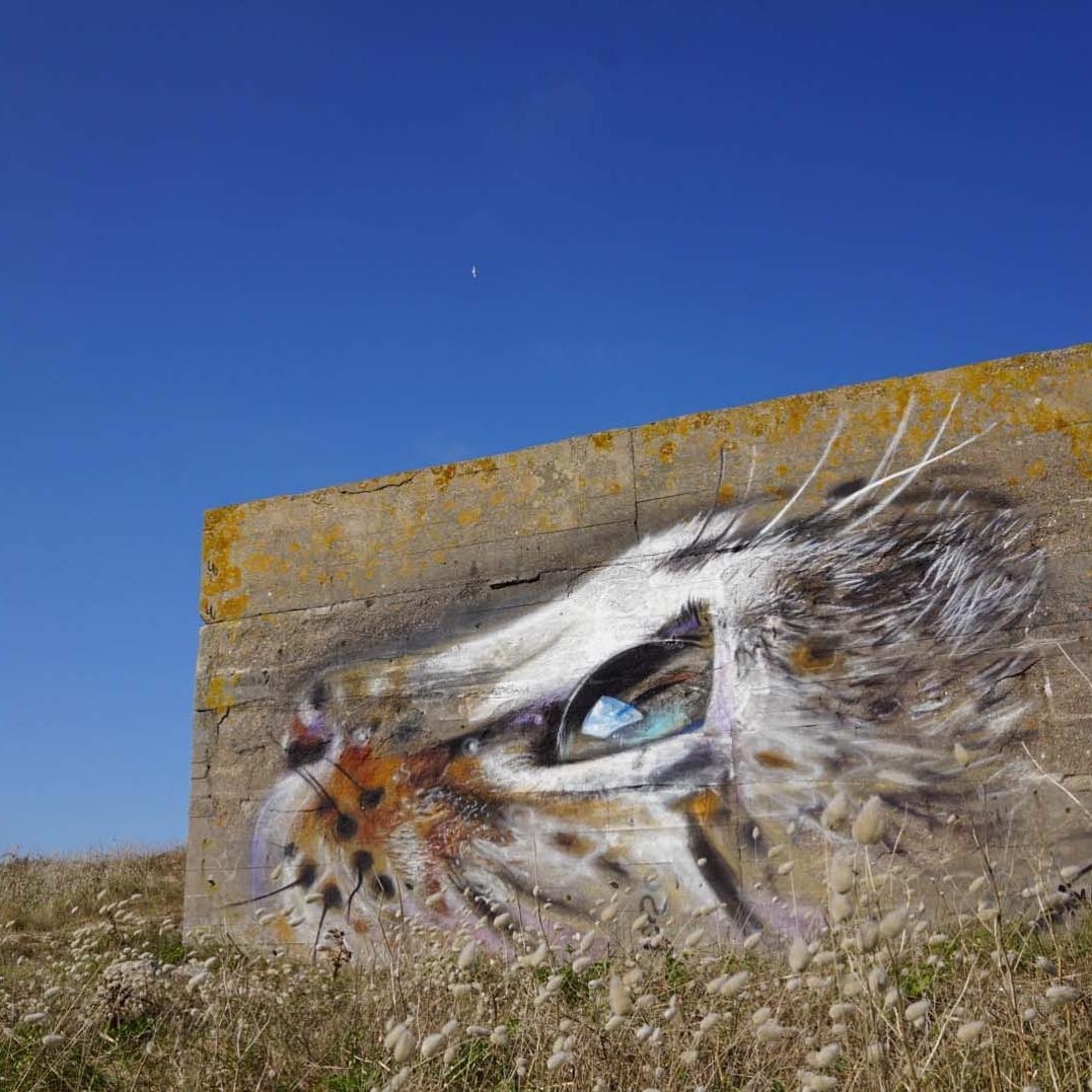 Näutil @Cotentin, France Näutil @Cotentin, France