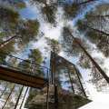 Tree hotel by Tham & Videgård Arkitekter