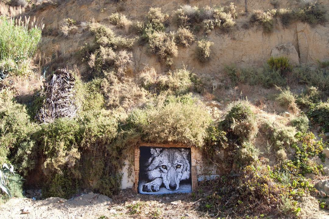 Wild Welva @Huelva, Spain