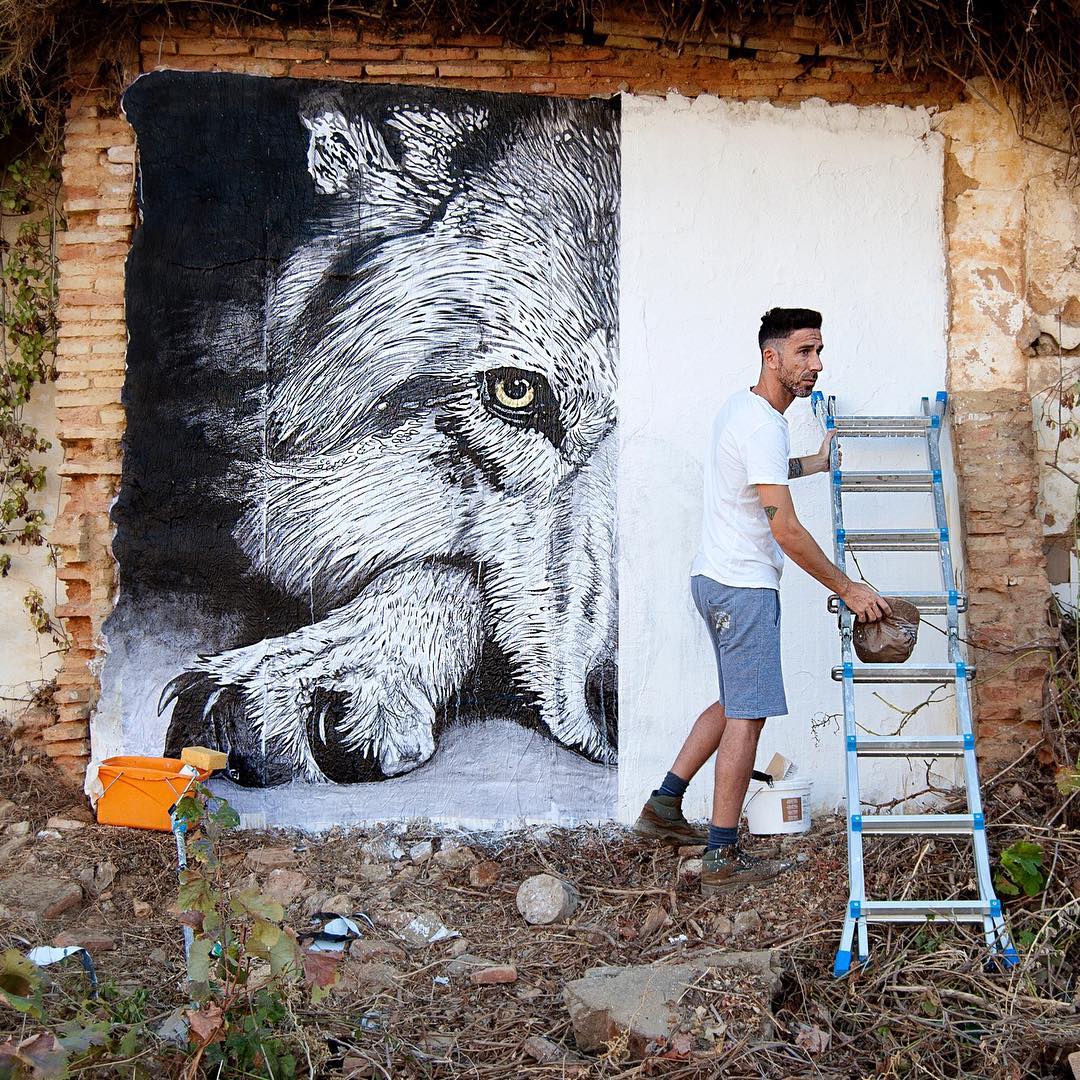 Wild Welva @Huelva, Spain