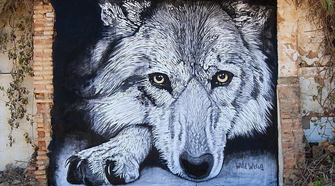 Wild Welva @Huelva, Spain