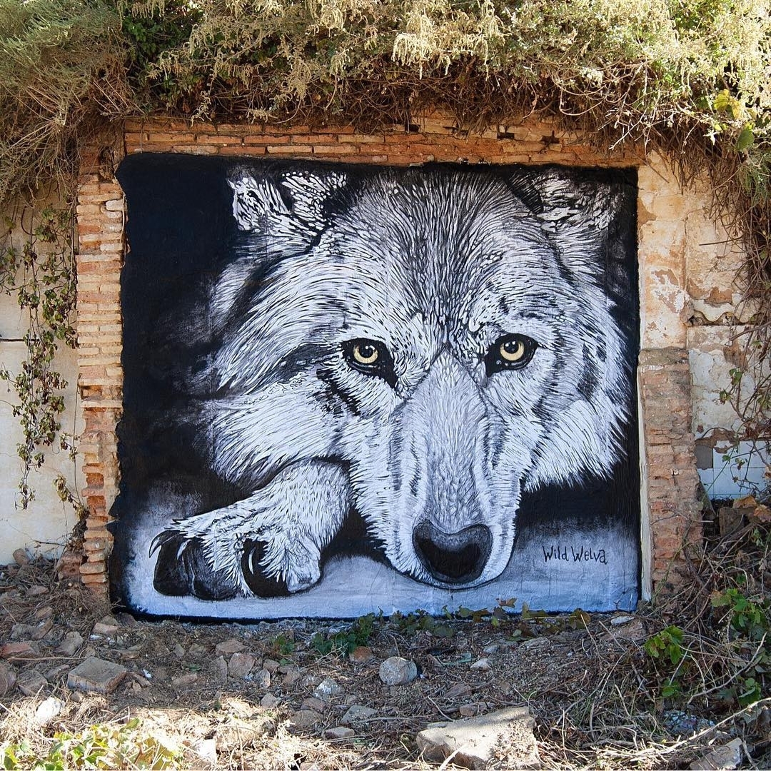 Wild Welva @Huelva, Spain