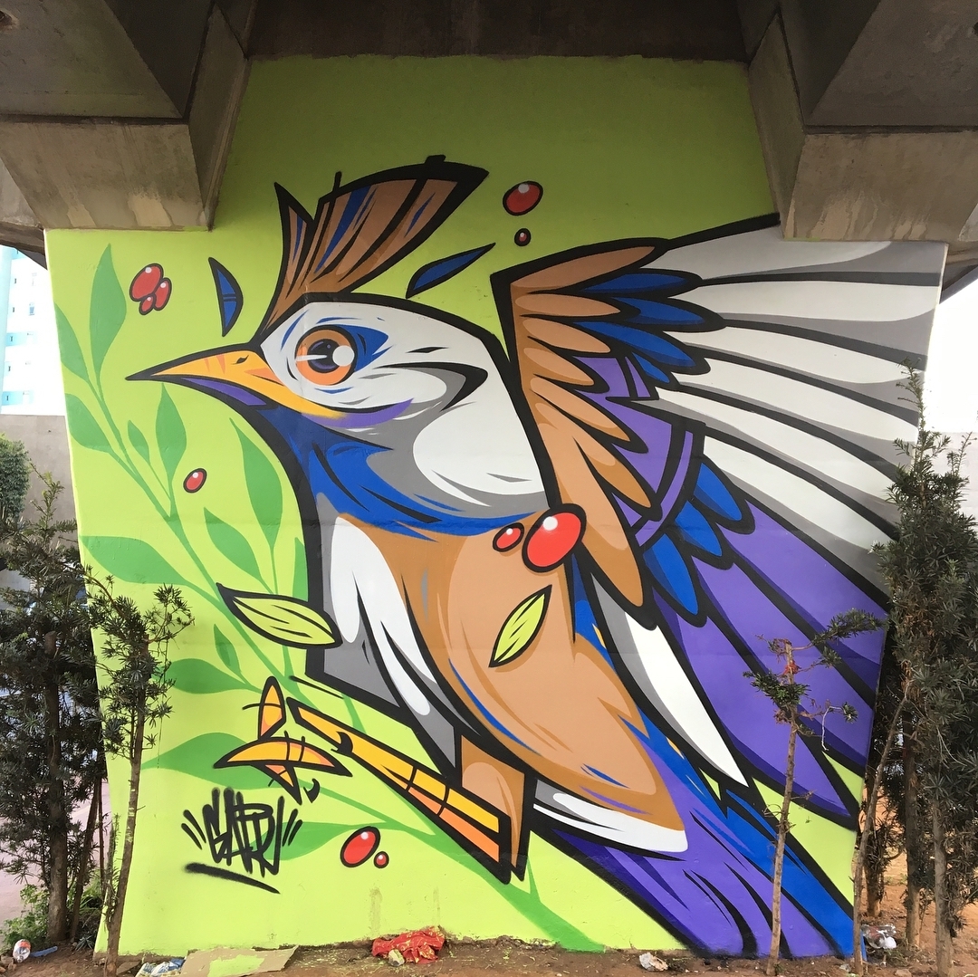 Garu @Sao Paulo, Brazil