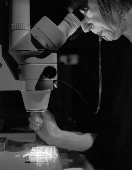 Helen Chadwick, in residence at Kings' College Assisted Conception Unit, 1996 - © Edward Woodman. All rights reserved, DACS/Artimage 2018. Photo: Edward Woodman