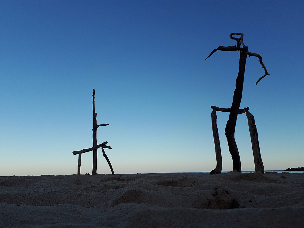 I guardiani del mare - Barbara Picci & Matteo Ambu