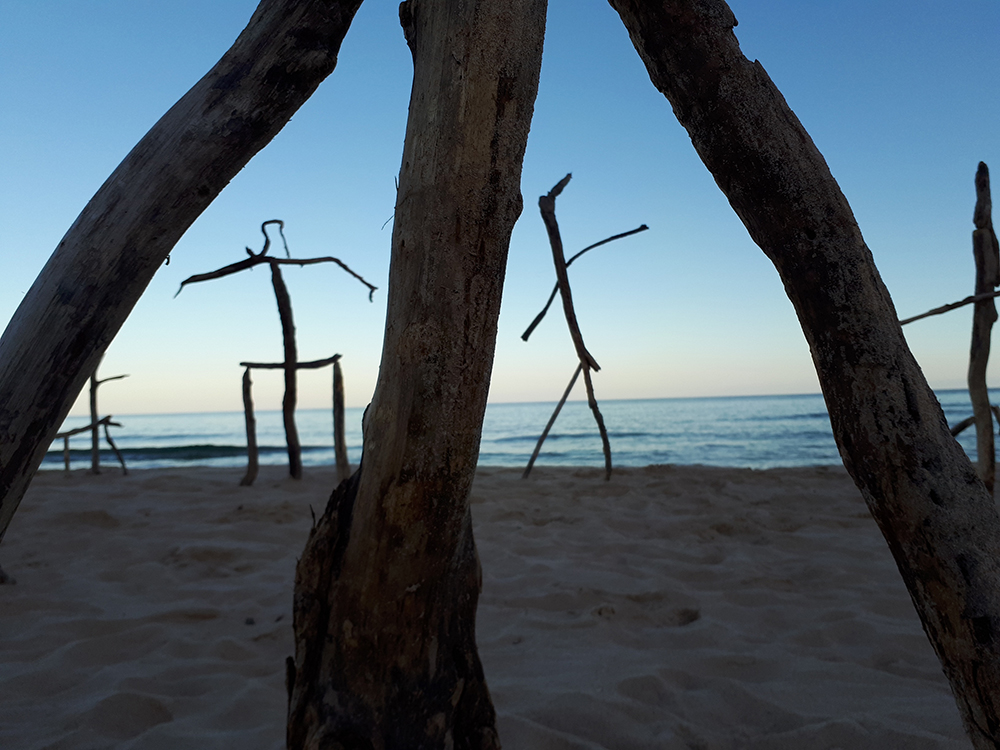I guardiani del mare - Barbara Picci & Matteo Ambu