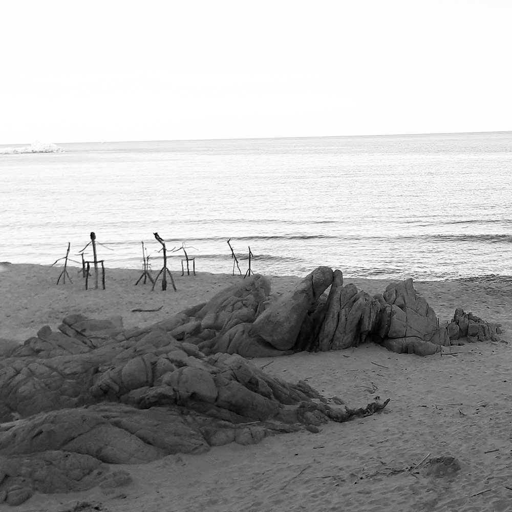 I guardiani del mare - Barbara Picci & Matteo Ambu