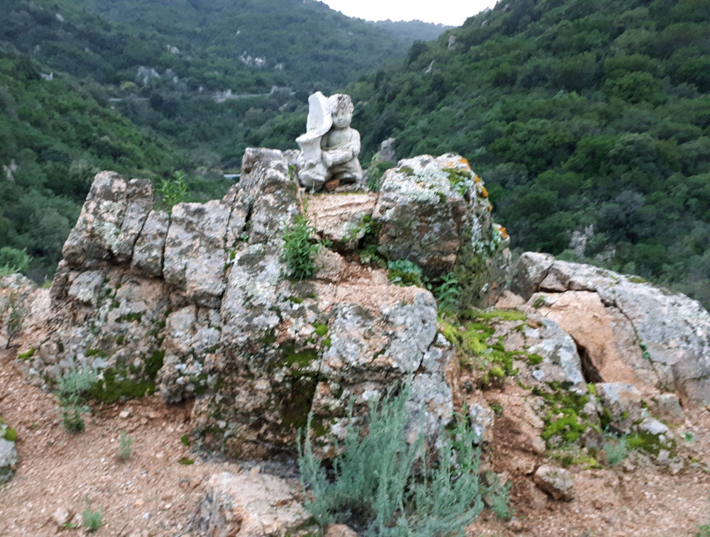 La rinascita dell'angelo - Barbara Picci & Matteo Ambu