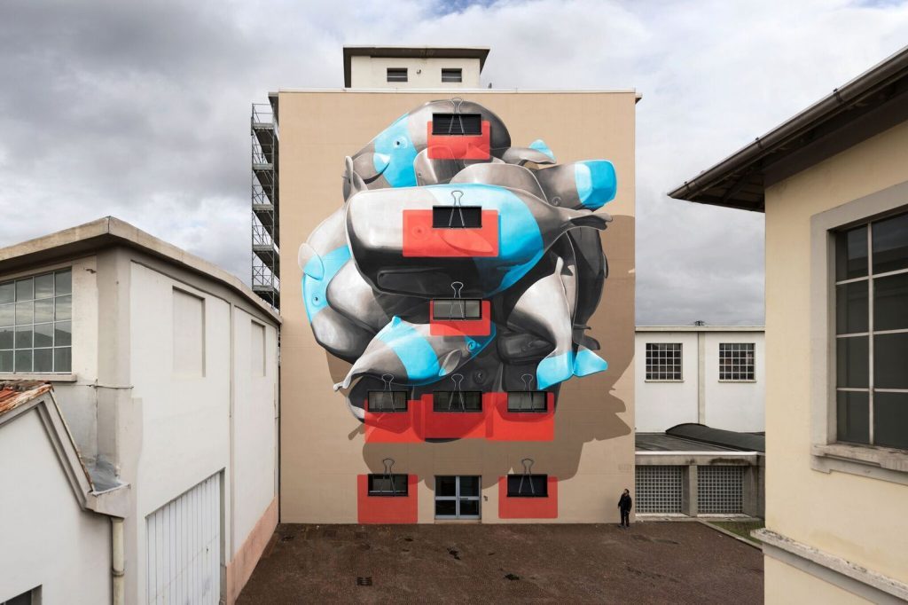 Nevercrew @Novara, Italy