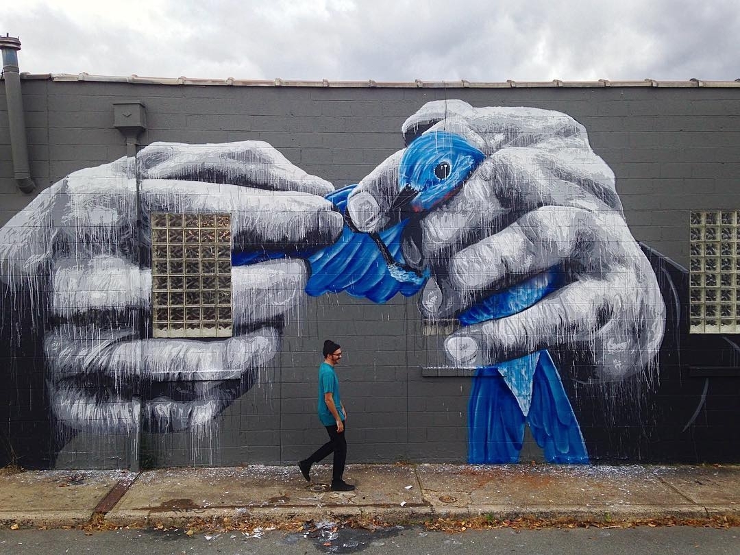 Nils Westergard @Charlottesville, Virginia, USA