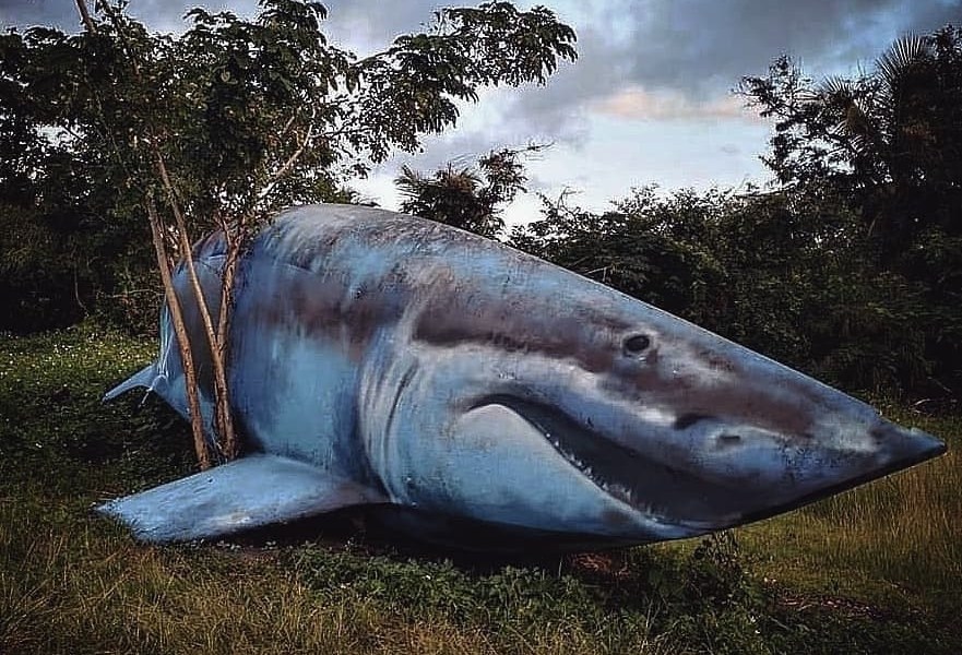 Nuxuno Xän @ Le Gosier, Guadeloupe (After)