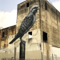 ROA @Humacao, Puerto Rico