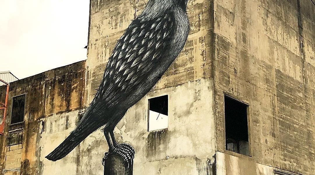 ROA @Humacao, Puerto Rico