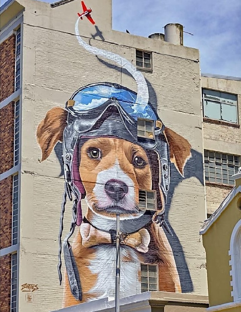 Smates @Cape Town, South Africa