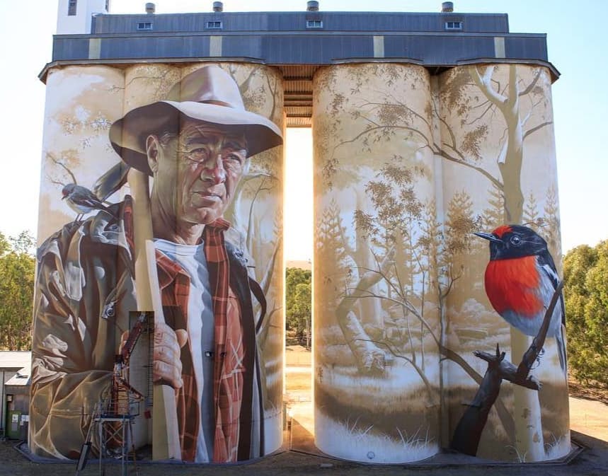 Smug One @Wirrabara, Australia