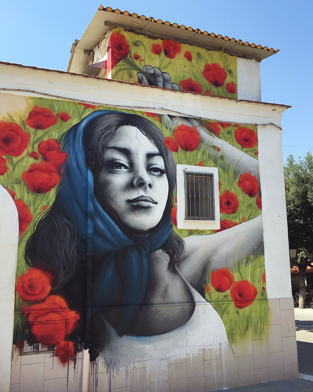 Zabou @Stornara, Italy
