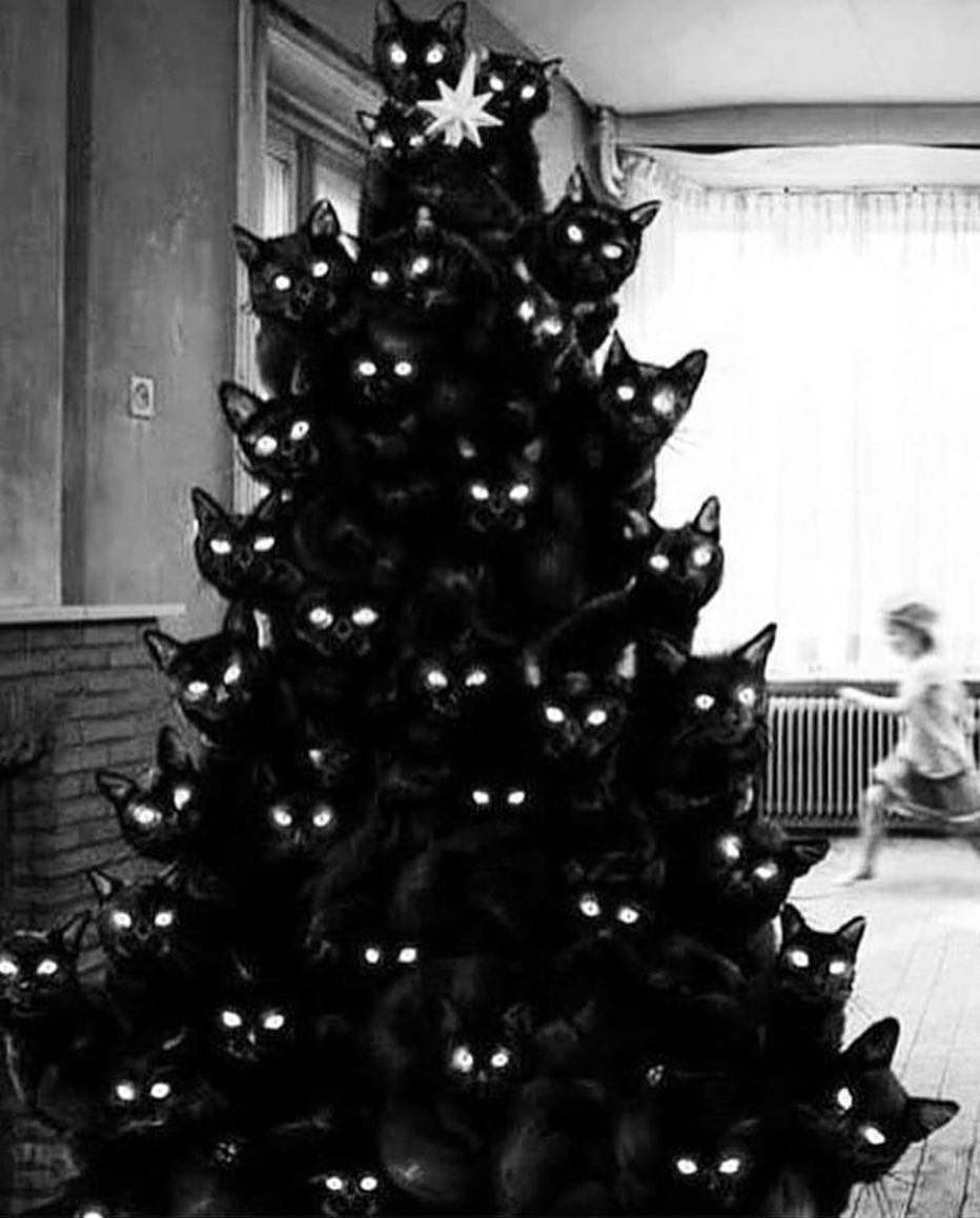 Strani alberi di Natale