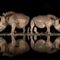 Alison Langevad / 2018 National Geographic Photo Contest