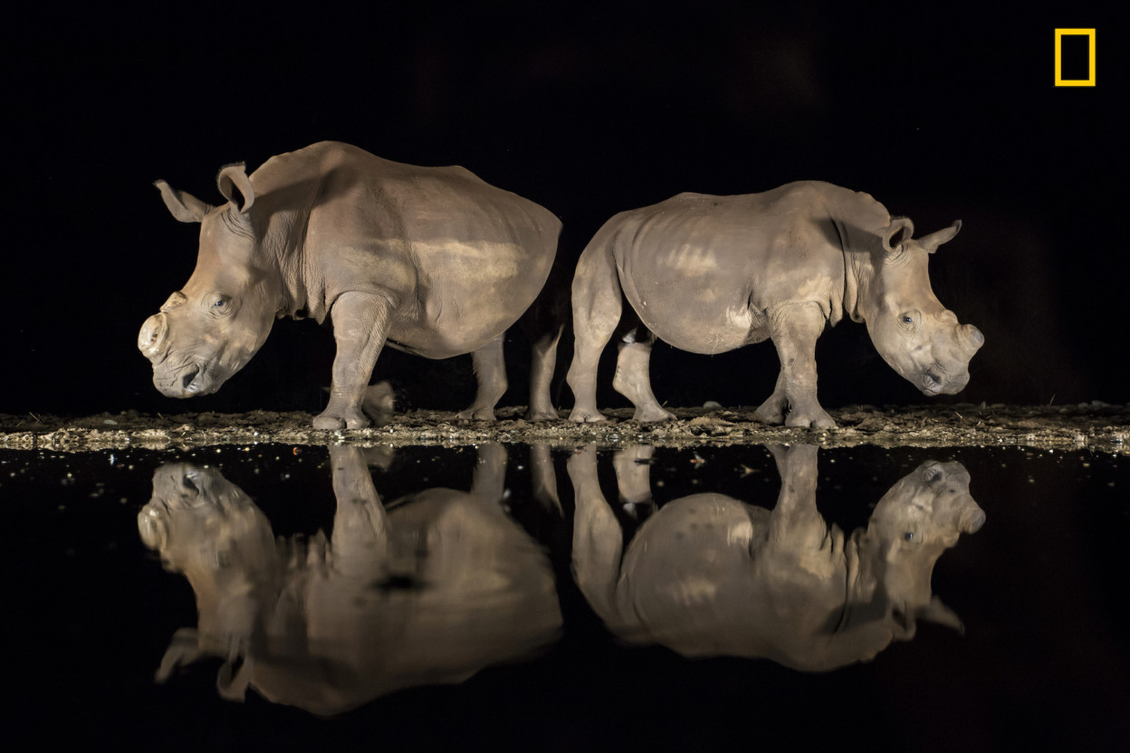 Alison Langevad / 2018 National Geographic Photo Contest Alison Langevad / 2018 National Geographic Photo Contest