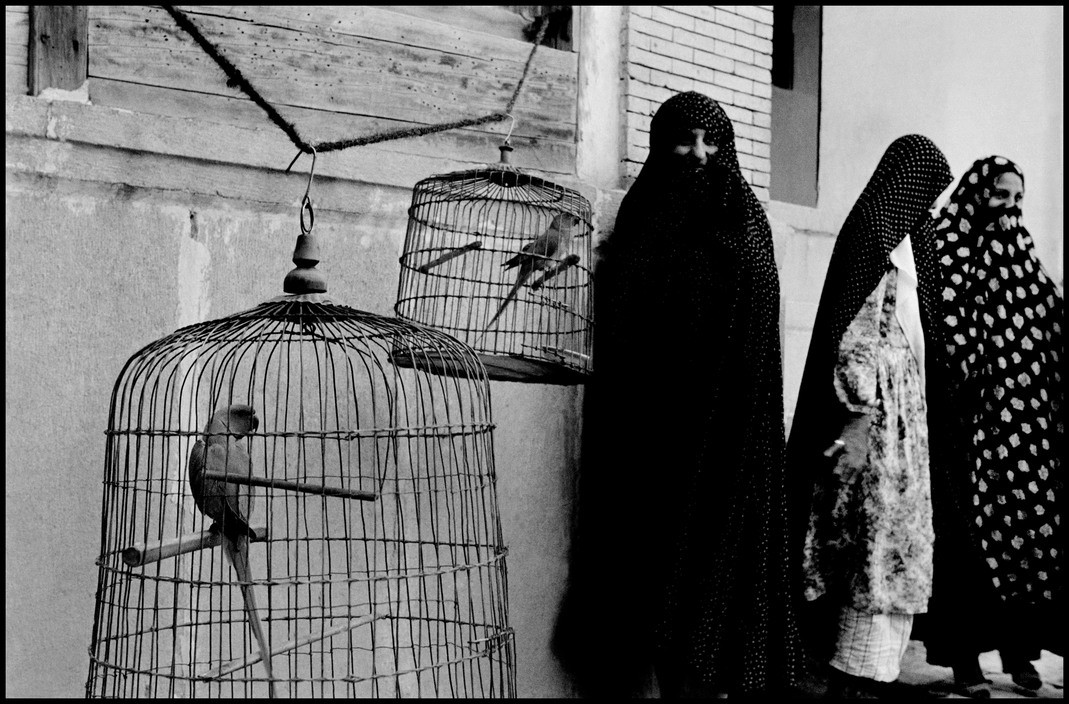 IRAN. Shiraz. 1956. Veiled Muslim women and caged cockatoos (wives of one man).
